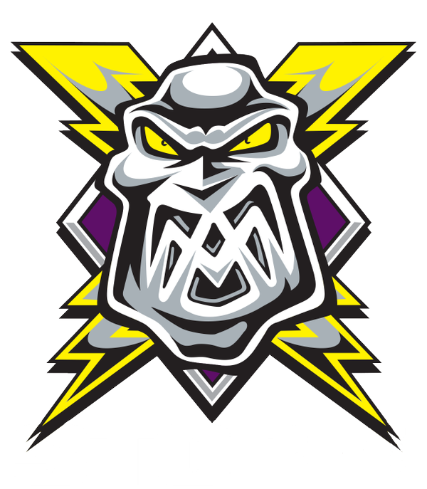 Manchester Storm 2015-Pres Primary Logo iron on heat transfer